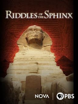 Riddles of the Sphinx