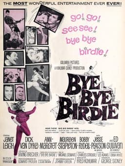 Bye Bye Birdie