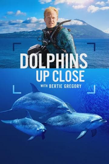 Dolphins Up Close with Bertie Gregory