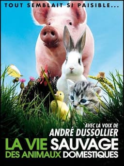 La vie sauvage des animaux domestiques