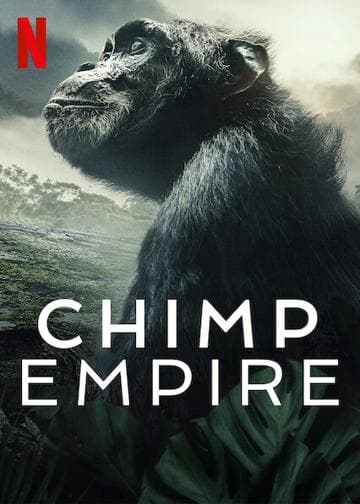 Chimp Empire
