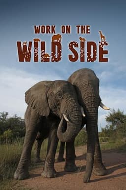 Work on the Wild Side