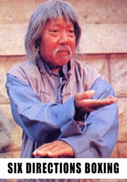 The Six Directions of Boxing