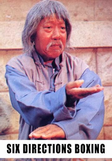 The Six Directions of Boxing