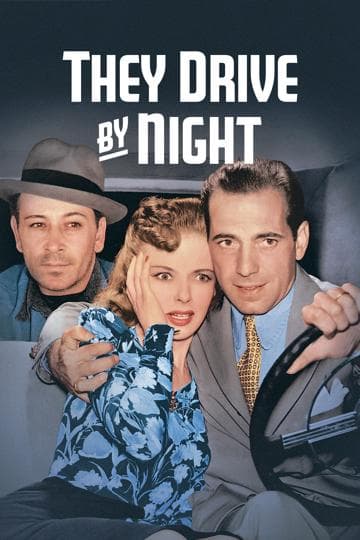 They Drive by Night