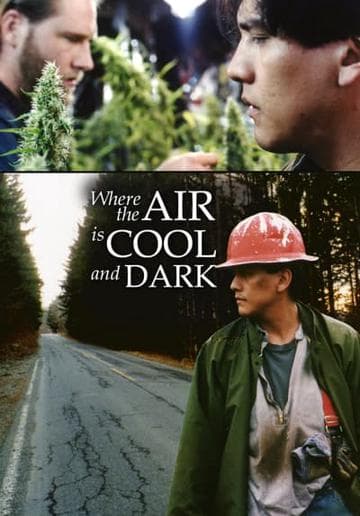 Where The Air Is Cool And Dark