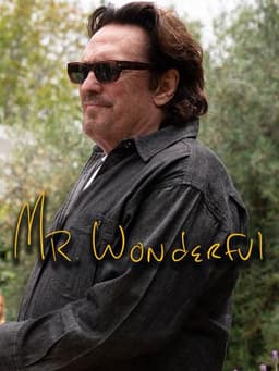 Mr. Wonderful