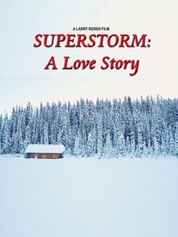 Superstorm: A Love Story