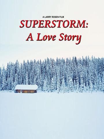 Superstorm: A Love Story