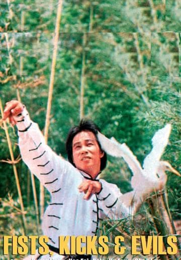 The Fists, the Kicks and the Evils