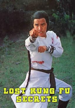 The Lost Kung Fu Secrets