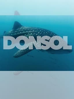 Donsol