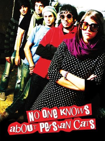 No One Knows About Persian Cats