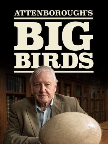 Attenborough's Big Birds