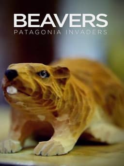 Beavers: Patagonia invaders