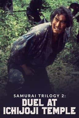 Samurai II: Duel at Ichijoji Temple