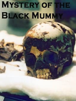 The Mystery of the Black Mummy