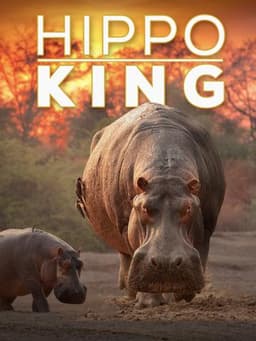 Hippo King
