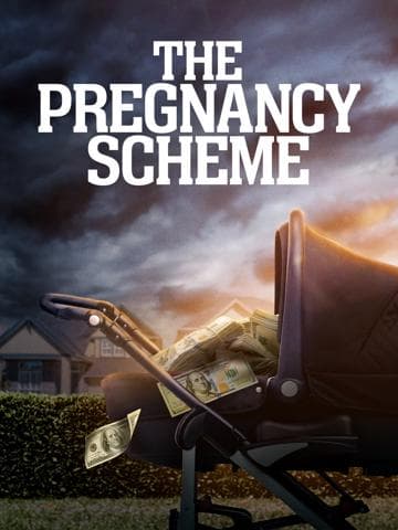 The Pregnancy Scheme