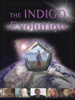 The Indigo Evolution
