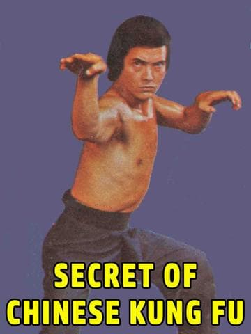Secret of Chinese Kung Fu