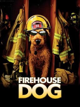 Firehouse Dog