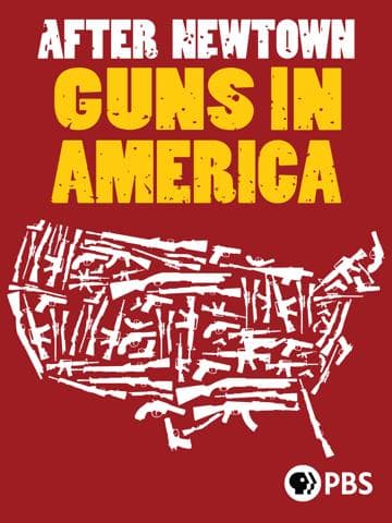 After Newtown: Guns in America