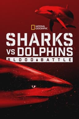 Sharks vs. Dolphins: Blood Battle