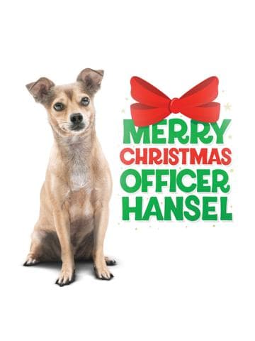 Merry Christmas Officer Hansel