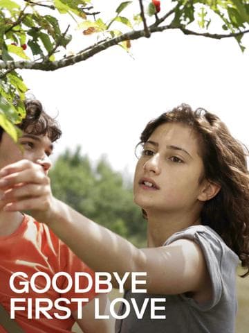 Goodbye First Love