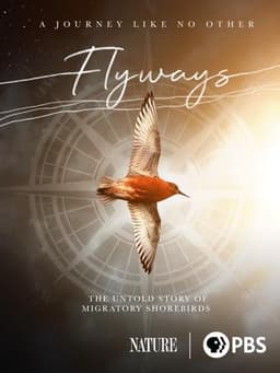Flyways
