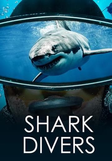 Shark Divers