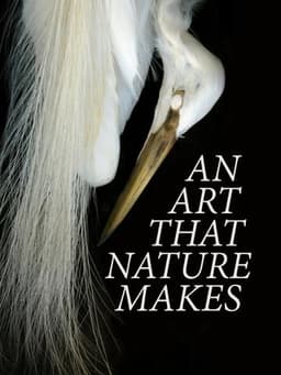 An Art That Nature Makes: The Work of Rosamond Purcell