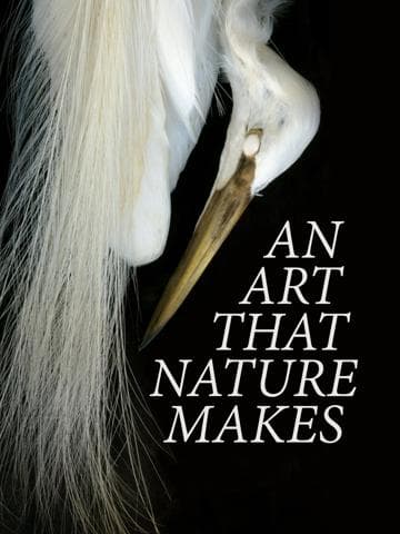 An Art That Nature Makes: The Work of Rosamond Purcell