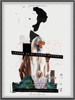 Night in the Wild Garden