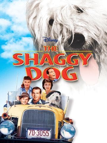 The Shaggy Dog