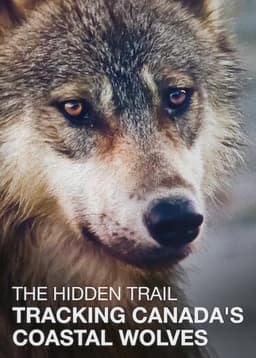 The Hidden Trail: Tracking Canada's Coastal Wolves