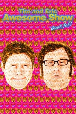 Tim and Eric Awesome Show, Great Job!
