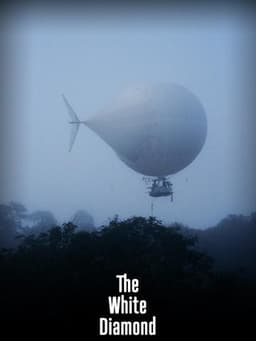The White Diamond