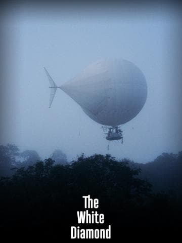 The White Diamond