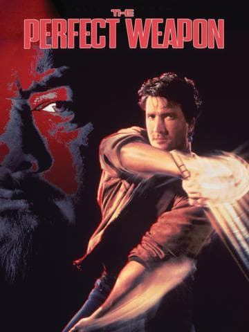 The Perfect Weapon