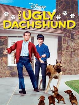 The Ugly Dachshund
