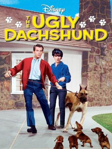 The Ugly Dachshund
