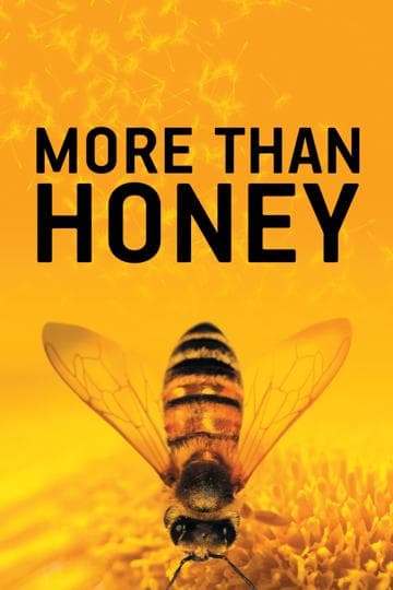 More Than Honey