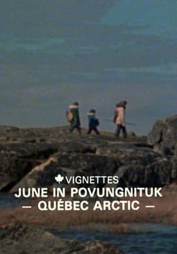 Canada Vignettes: June in Povungnituk - Quebec Arctic