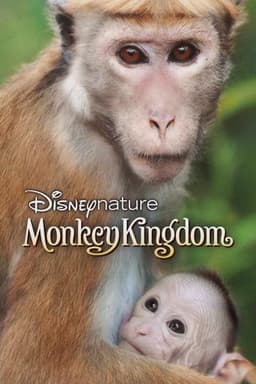 Monkey Kingdom