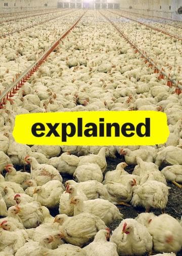 Explained