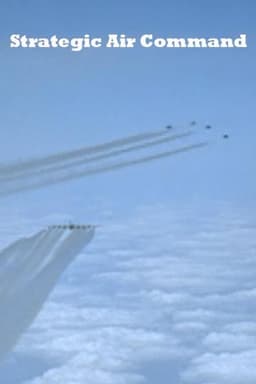 Strategic Air Command