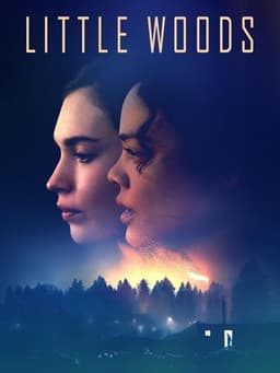 Little Woods