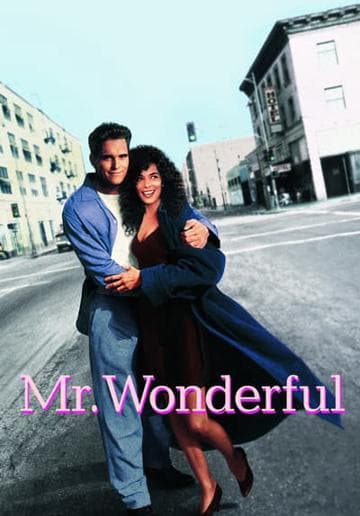 Mr. Wonderful